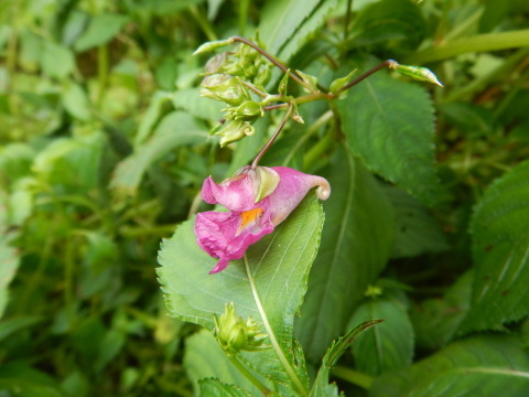 f0118332_23255703.jpg