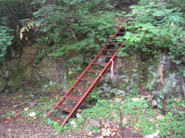 e0272335_2041243.jpg