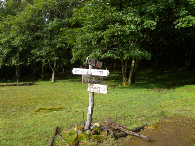 e0272335_20454732.jpg