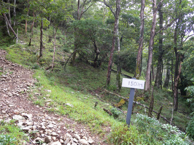 e0272335_20541586.jpg