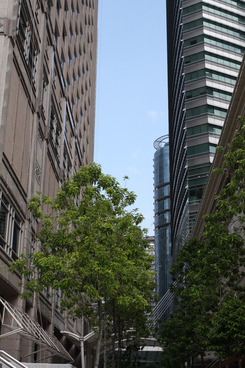 c0209845_1831275.jpg