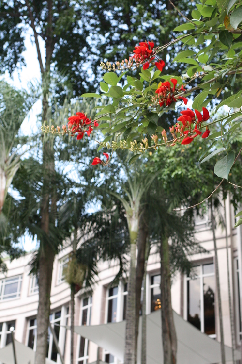 c0209845_1832230.jpg