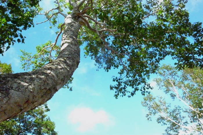 e0009147_20303125.jpg