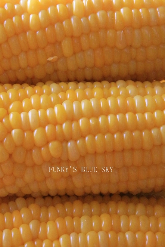 c0145250_16542941.jpg