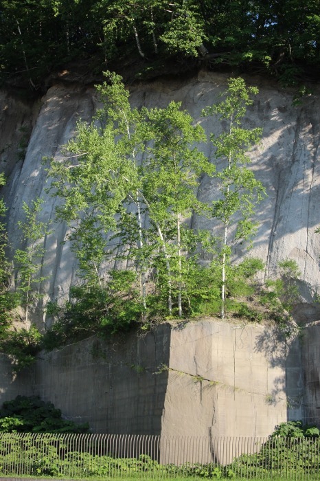 b0250154_23204609.jpg