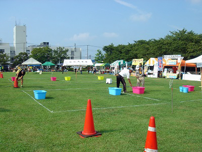 d0239667_1075762.jpg