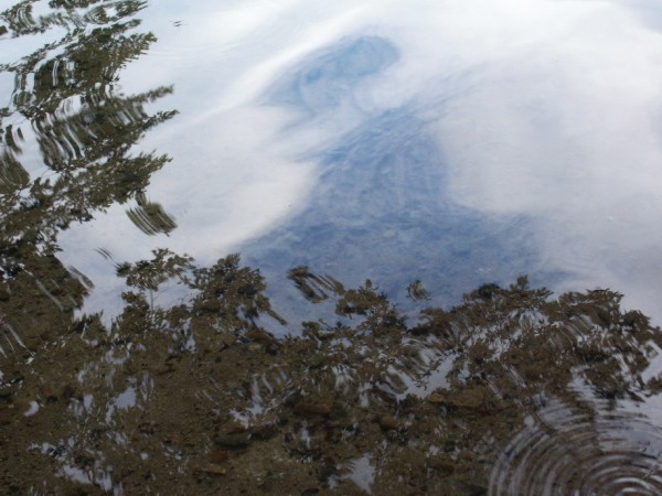 c0166668_913079.jpg
