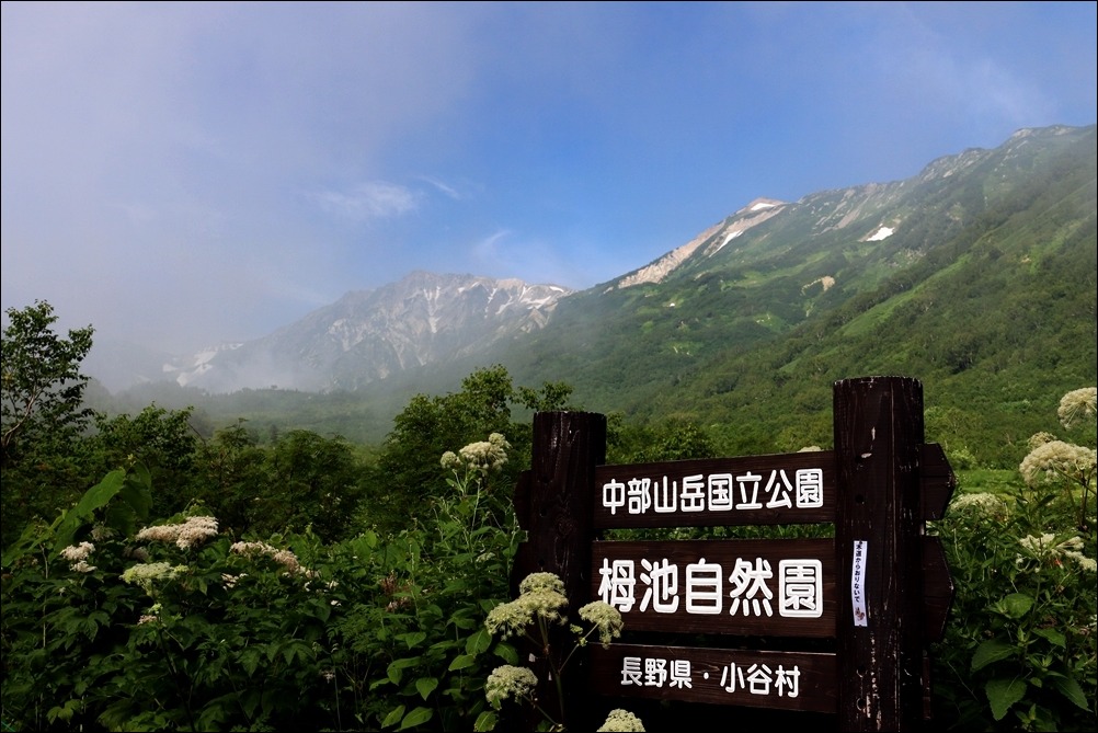 d0130286_23282136.jpg