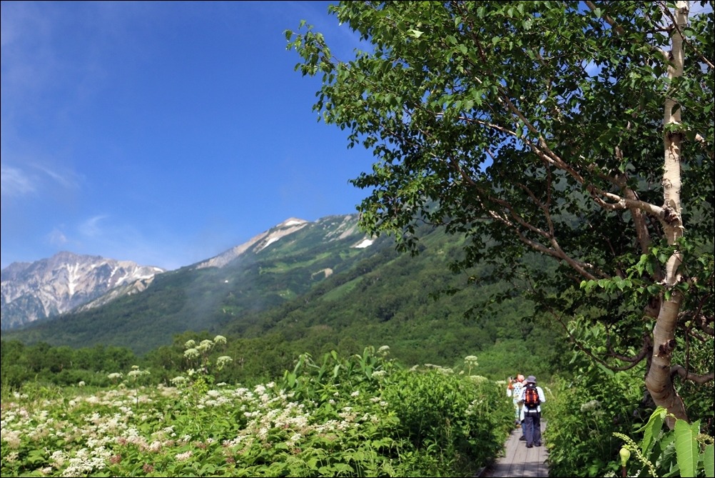 d0130286_2334402.jpg