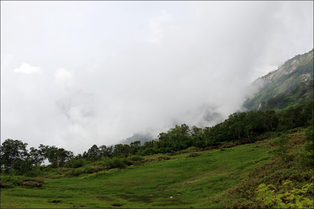 d0130286_2336948.jpg