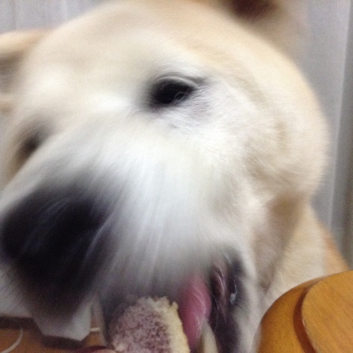 c0123890_2017321.jpg