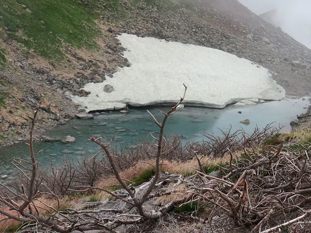 e0271890_00074270.jpg