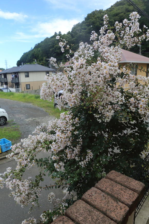 b0275998_1317288.jpg