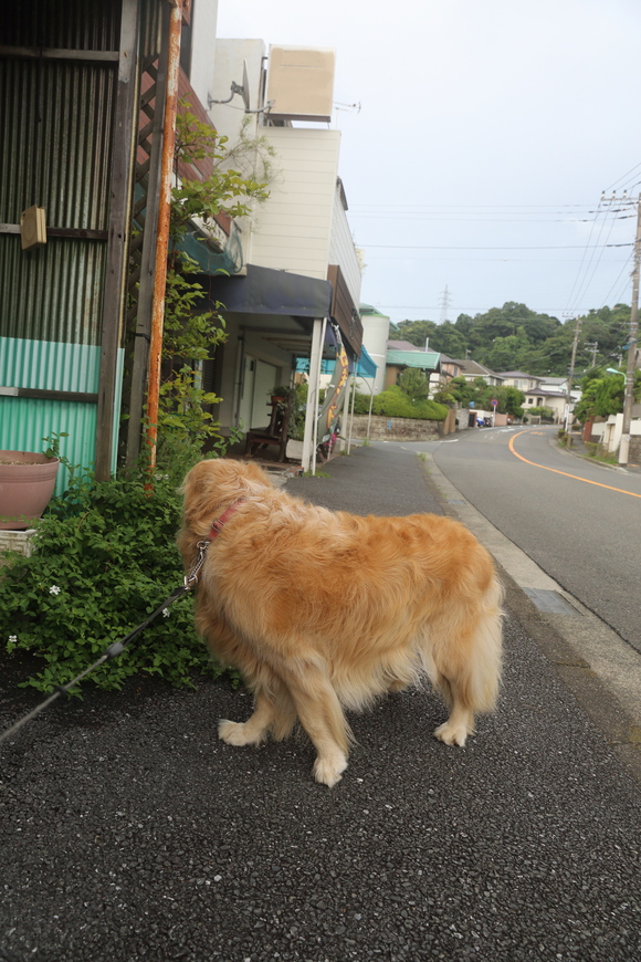 b0275998_13464240.jpg