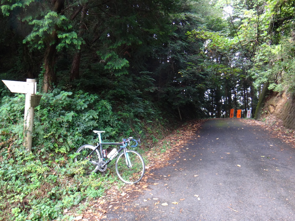 b0092300_055820.jpg