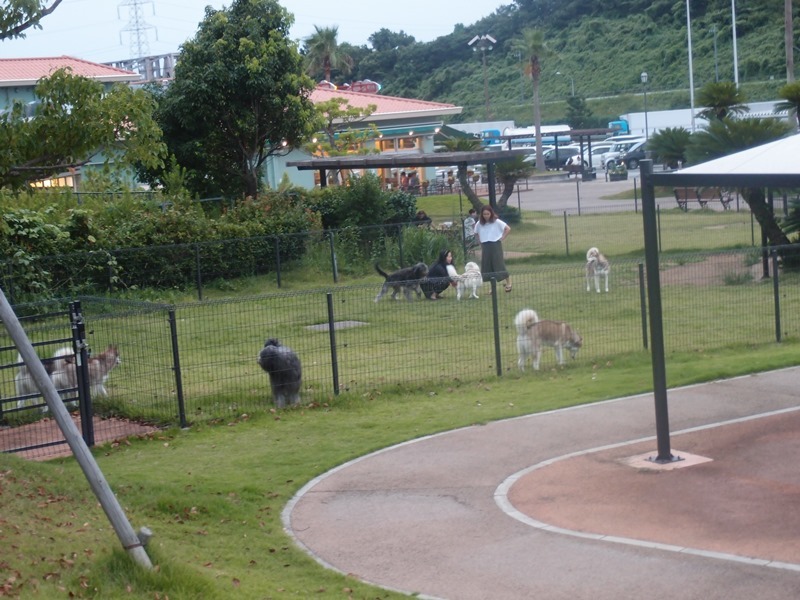 e0018604_21485432.jpg