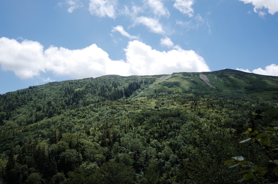 d0279705_20324780.jpg
