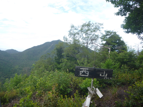 d0170615_1785821.jpg