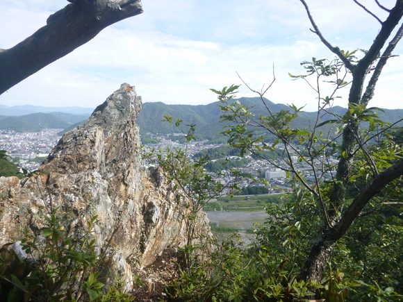 d0170615_1793181.jpg