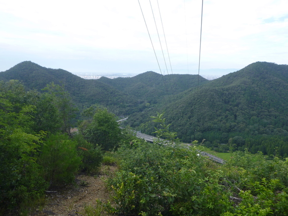 d0170615_179787.jpg