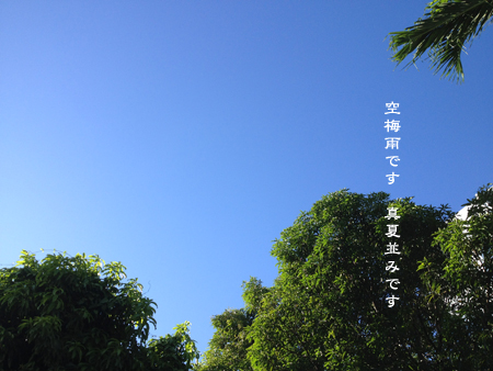 d0042827_1246106.jpg