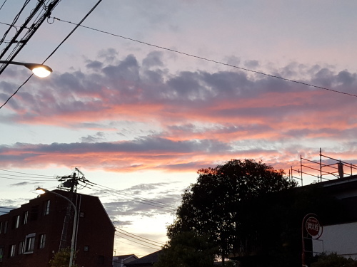 e0016828_10473565.jpg