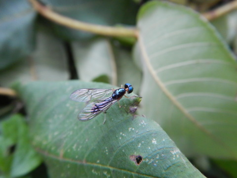 f0118332_23232544.jpg