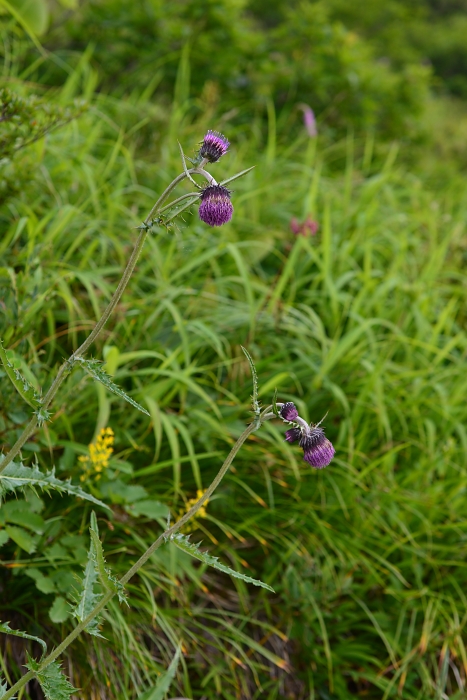 b0236334_7173145.jpg