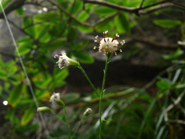 e0272335_4255441.jpg