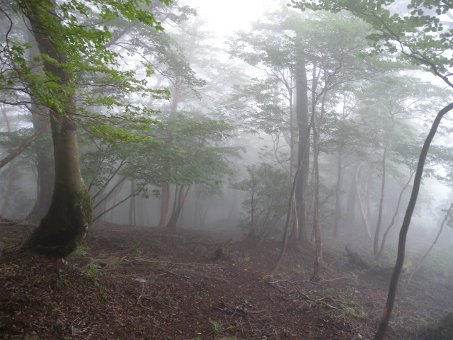 e0272335_4352738.jpg