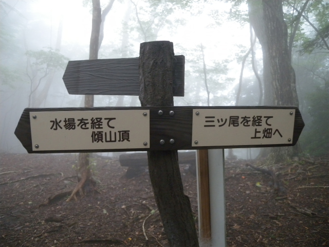 e0272335_450516.jpg