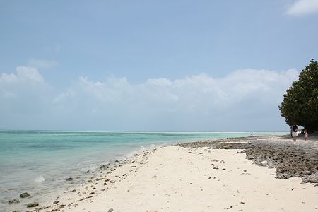 c0148238_13203764.jpg