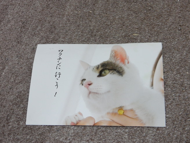 f0247039_20492167.jpg