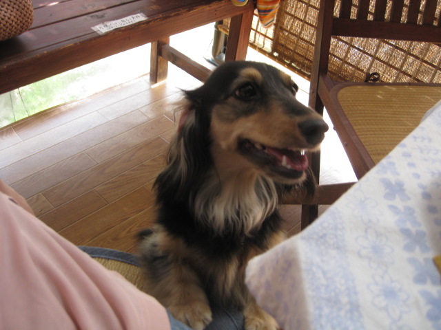 c0134645_022049.jpg