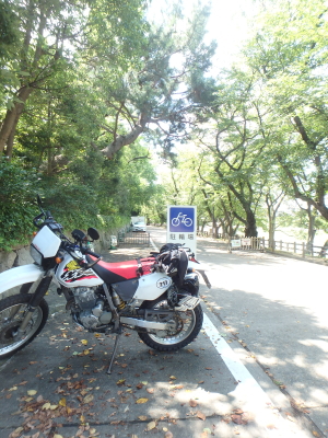 c0339546_20454384.jpg