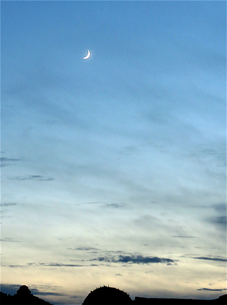 f0214649_448506.jpg