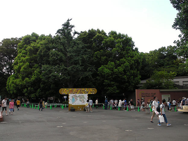 e0294253_13273361.jpg