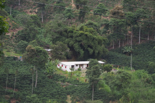 c0351060_00003110.jpg