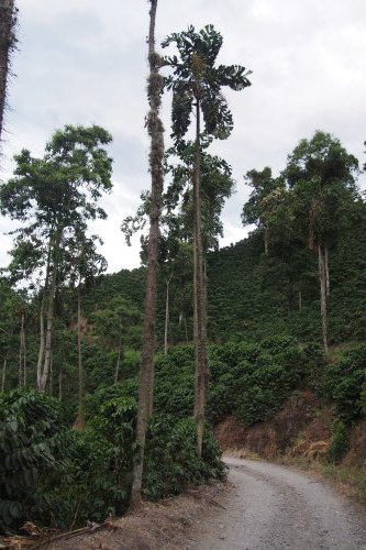 c0351060_00104008.jpg