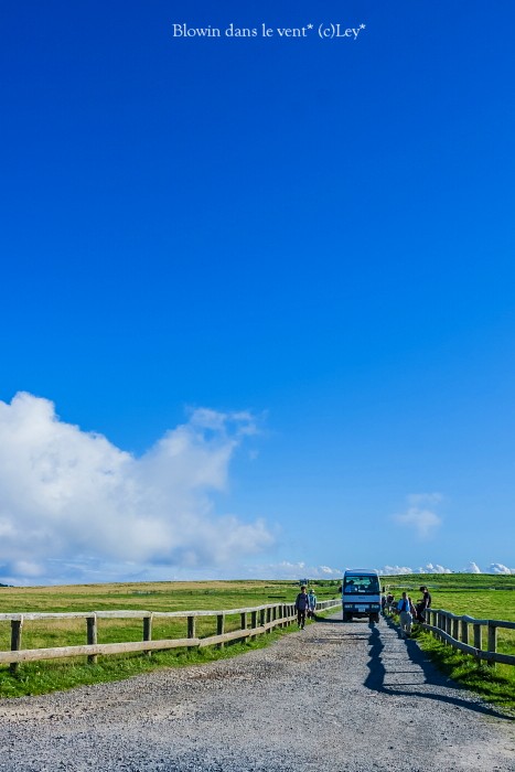 f0251765_14522223.jpg