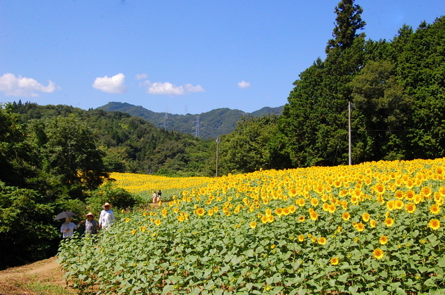 d0172270_17345175.jpg
