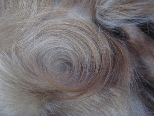e0275478_10244051.jpg