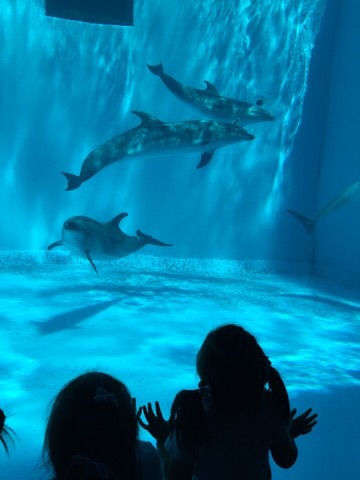 f0169186_2026171.jpg