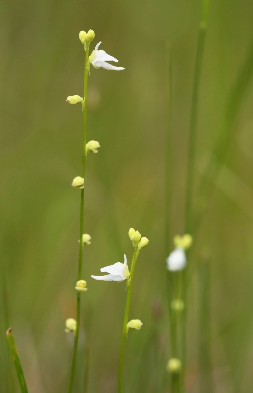 f0000789_893625.jpg