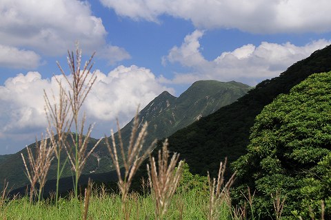 a0222494_1157513.jpg