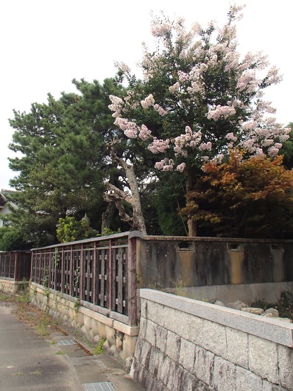 c0015099_2115659.jpg