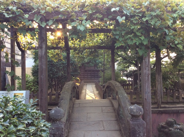 d0149306_11551253.jpg