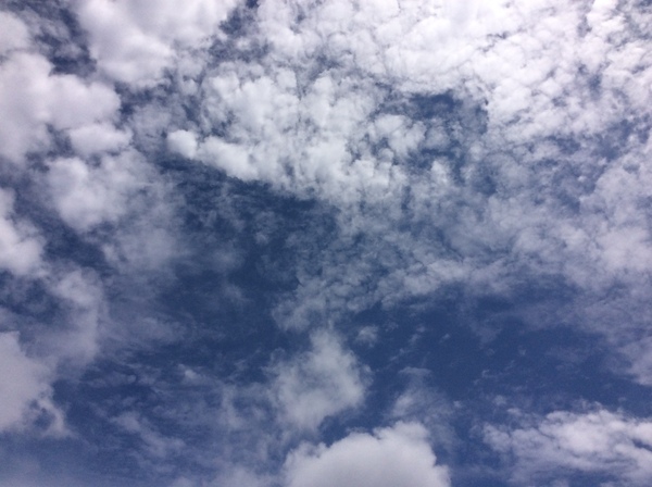 d0149306_995117.jpg