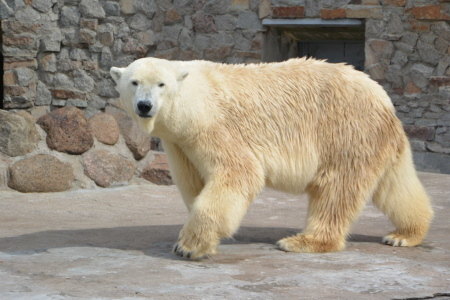 f0344626_00051466.jpg