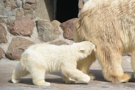f0344626_00074378.jpg